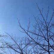 ヒメ日記 2025/03/19 15:55 投稿 そら 完熟ばなな新宿