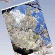 ヒメ日記 2025/03/28 15:05 投稿 そら 完熟ばなな新宿