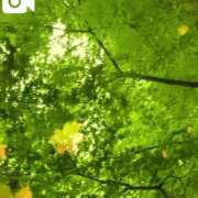 ヒメ日記 2025/04/02 16:35 投稿 そら 完熟ばなな新宿