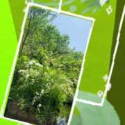 ヒメ日記 2025/04/20 23:55 投稿 そら 完熟ばなな新宿