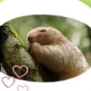 ヒメ日記 2025/11/14 19:55 投稿 そら 完熟ばなな新宿