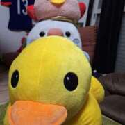 ヒメ日記 2025/02/13 13:04 投稿 ゆの 成田人妻花壇