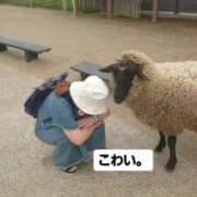 ヒメ日記 2025/03/06 20:03 投稿 ゆの 成田人妻花壇