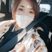 ヒメ日記 2025/05/08 17:18 投稿 ゆの 成田人妻花壇