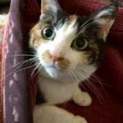 ヒメ日記 2025/10/21 23:54 投稿 ゆの 成田人妻花壇