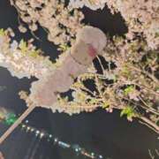 ゆの ほんとに 成田人妻花壇