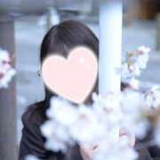 ヒメ日記 2025/04/14 09:23 投稿 ほのか 電車ごっこ