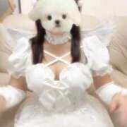 ヒメ日記 2025/10/28 20:10 投稿 ほのか 電車ごっこ