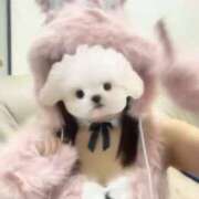 ヒメ日記 2025/10/30 18:50 投稿 ほのか 電車ごっこ