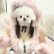 ヒメ日記 2025/10/31 12:50 投稿 ほのか 電車ごっこ