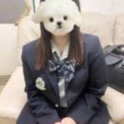 ヒメ日記 2025/11/01 22:54 投稿 ほのか 電車ごっこ