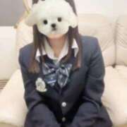 ヒメ日記 2025/11/03 10:40 投稿 ほのか 電車ごっこ