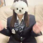 ヒメ日記 2025/11/17 12:31 投稿 ほのか 電車ごっこ