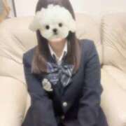 ヒメ日記 2025/11/18 21:12 投稿 ほのか 電車ごっこ