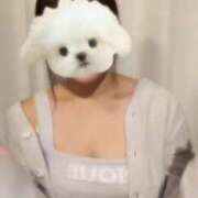 ヒメ日記 2025/11/20 20:20 投稿 ほのか 電車ごっこ