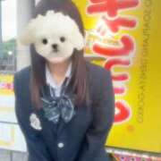 ヒメ日記 2025/11/21 19:31 投稿 ほのか 電車ごっこ