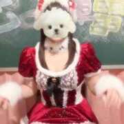 ヒメ日記 2025/12/25 10:30 投稿 ほのか 電車ごっこ