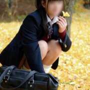 ヒメ日記 2025/12/30 11:48 投稿 ほのか 電車ごっこ