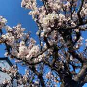 ヒメ日記 2025/05/03 17:20 投稿 及川ゆま 札幌ソフィア