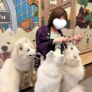 ヒメ日記 2025/06/05 21:48 投稿 及川ゆま 札幌ソフィア