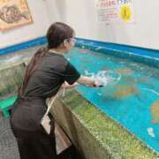 ヒメ日記 2025/04/29 04:50 投稿 ろぜ ラブ＆ナース