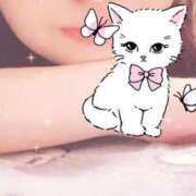 ヒメ日記 2025/01/27 19:15 投稿 あこ ビギナーズ神戸