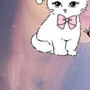 ヒメ日記 2025/02/11 16:33 投稿 あこ ビギナーズ神戸