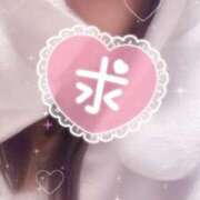 ヒメ日記 2025/03/08 18:00 投稿 あこ ビギナーズ神戸