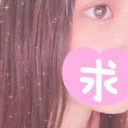 ヒメ日記 2025/03/10 23:40 投稿 あこ ビギナーズ神戸