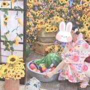 ヒメ日記 2026/07/09 19:27 投稿 あこ ビギナーズ神戸