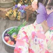ヒメ日記 2026/07/28 19:07 投稿 あこ ビギナーズ神戸
