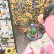 ヒメ日記 2026/08/17 16:17 投稿 あこ ビギナーズ神戸