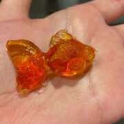 ヒメ日記 2025/04/09 14:26 投稿 RENA GRAND STAGE