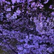 ヒメ日記 2025/04/21 23:56 投稿 RENA GRAND STAGE