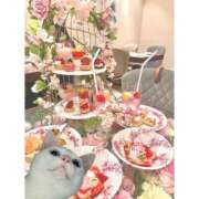 ヒメ日記 2025/03/30 14:33 投稿 もも 五反田みるみる(ユメオト)