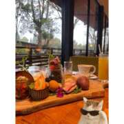 ヒメ日記 2025/04/16 18:08 投稿 もも 五反田みるみる(ユメオト)