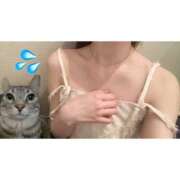 ヒメ日記 2025/04/19 00:17 投稿 もも 五反田みるみる(ユメオト)