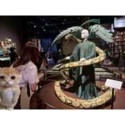 ヒメ日記 2025/06/10 18:48 投稿 もも 五反田みるみる(ユメオト)