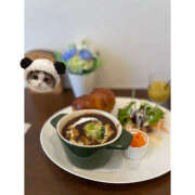 ヒメ日記 2025/07/20 12:53 投稿 もも 五反田みるみる(ユメオト)