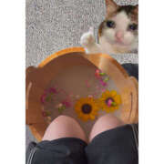 ヒメ日記 2025/08/11 15:24 投稿 もも 五反田みるみる(ユメオト)