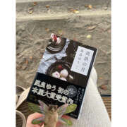 もも ご飯としてのアイス 五反田みるみる(ユメオト)