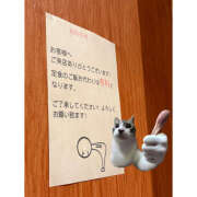 ヒメ日記 2026/02/13 14:37 投稿 もも 五反田みるみる(ユメオト)