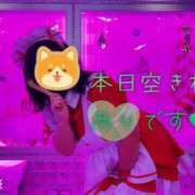 ヒメ日記 2023/12/08 18:42 投稿 ゆうみ ぷよステーション大宮店