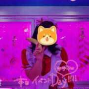 ヒメ日記 2024/12/29 15:21 投稿 ゆうみ ぷよステーション大宮店