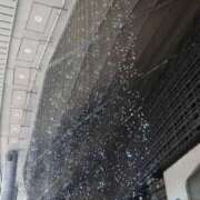 ヒメ日記 2026/01/24 19:00 投稿 ゆうみ ぷよステーション大宮店