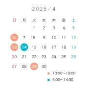 ヒメ日記 2025/04/07 20:06 投稿 ことり ビギナーズ神戸