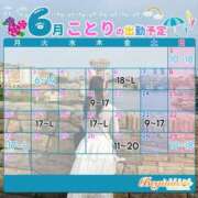 ヒメ日記 2025/06/03 14:35 投稿 ことり ビギナーズ神戸