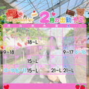 ヒメ日記 2026/01/29 17:25 投稿 ことり ビギナーズ神戸