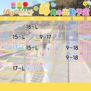ことり 4月の予定🌸 ビギナーズ神戸