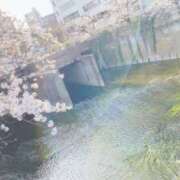 ヒメ日記 2024/12/26 03:11 投稿 みみ プールサイド